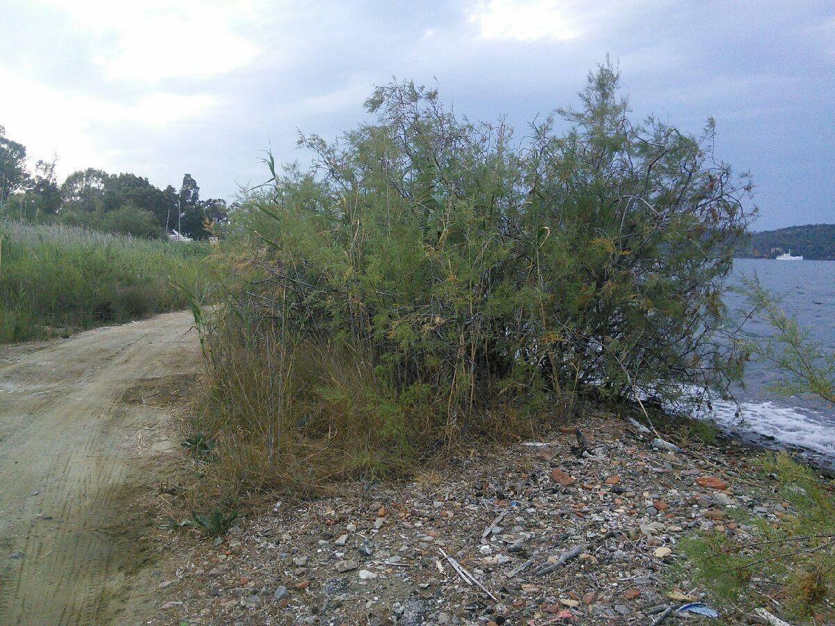 https://medwetstorage.blob.core.windows.net/additional-files/sitePictures/image_116.jpg