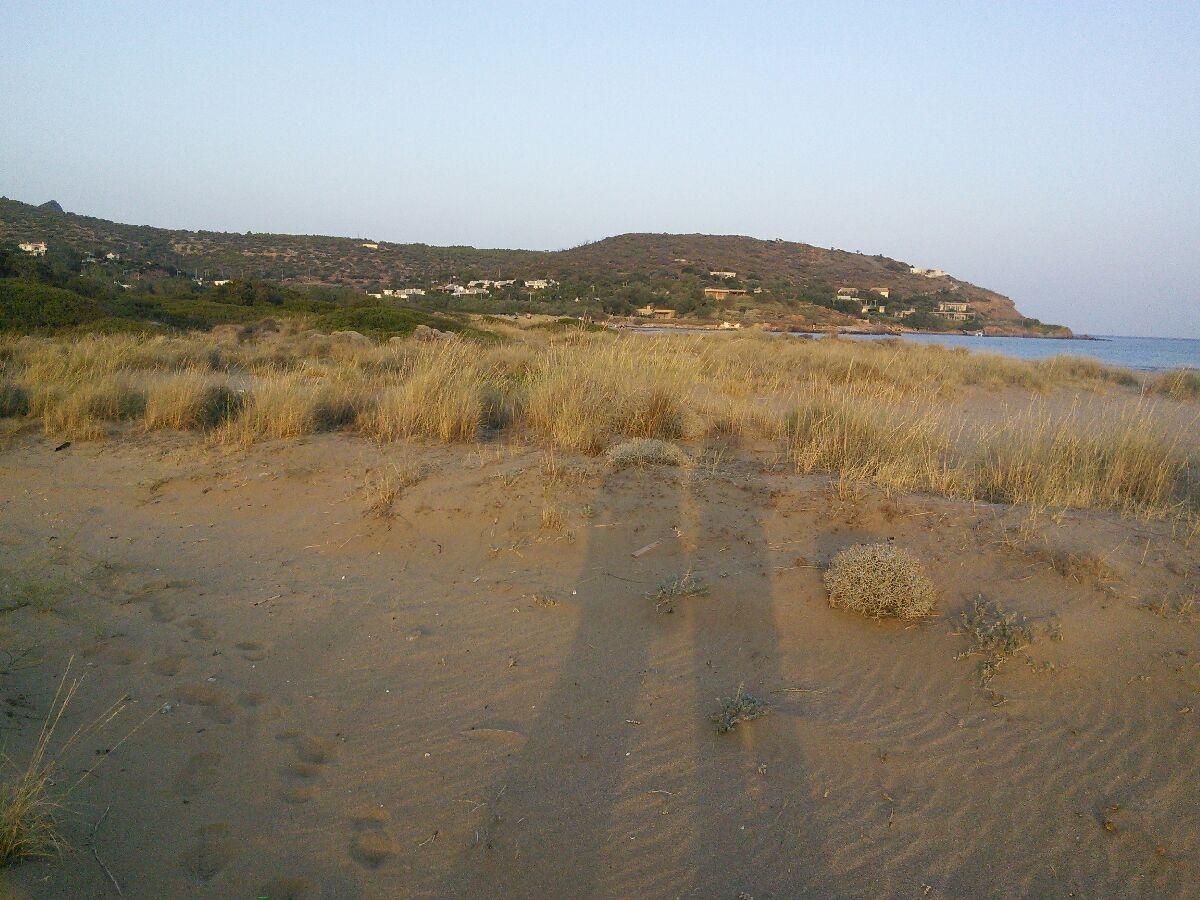 https://medwetstorage.blob.core.windows.net/additional-files/sitePictures/image_178.jpg